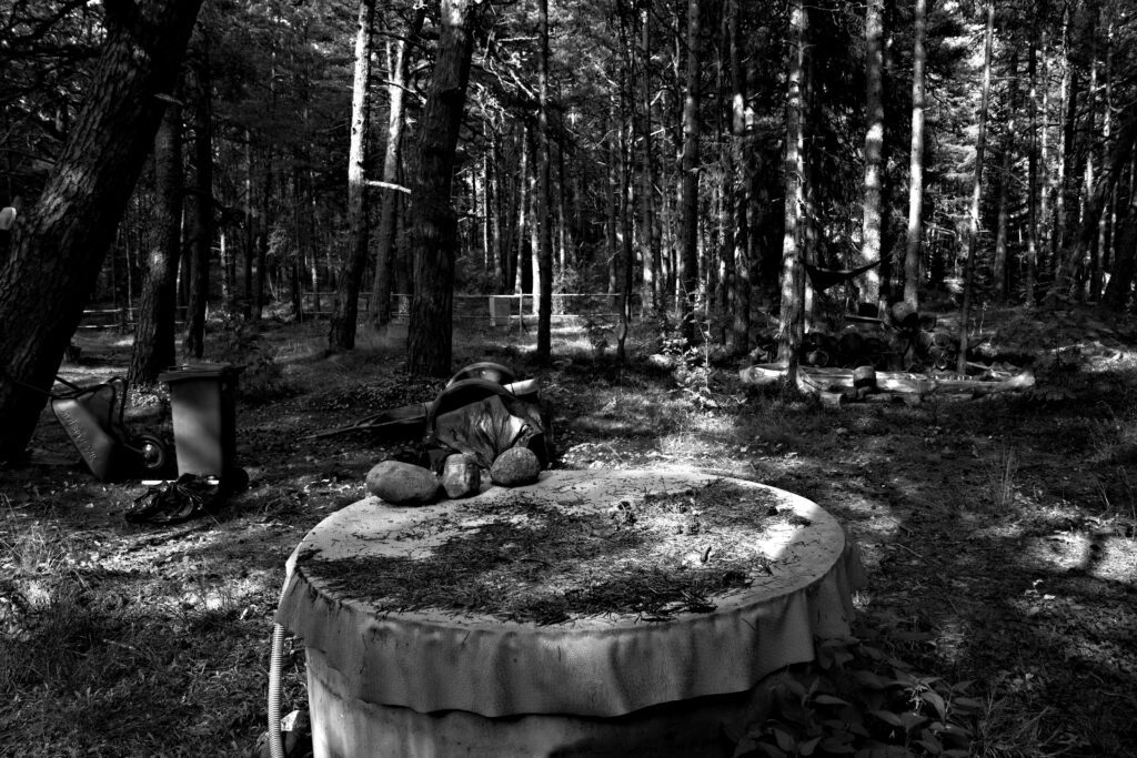 The island of Aegna in Estonia and it's peculiar ecosystem