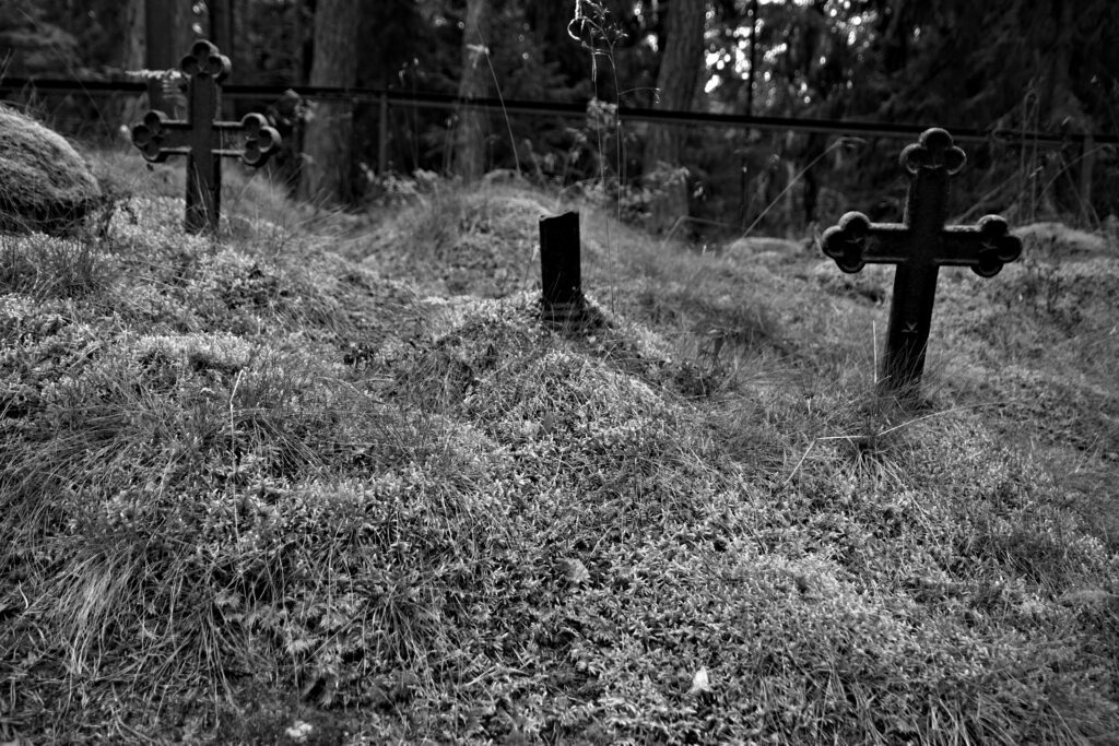 The island of Aegna in Estonia and it's peculiar ecosystem