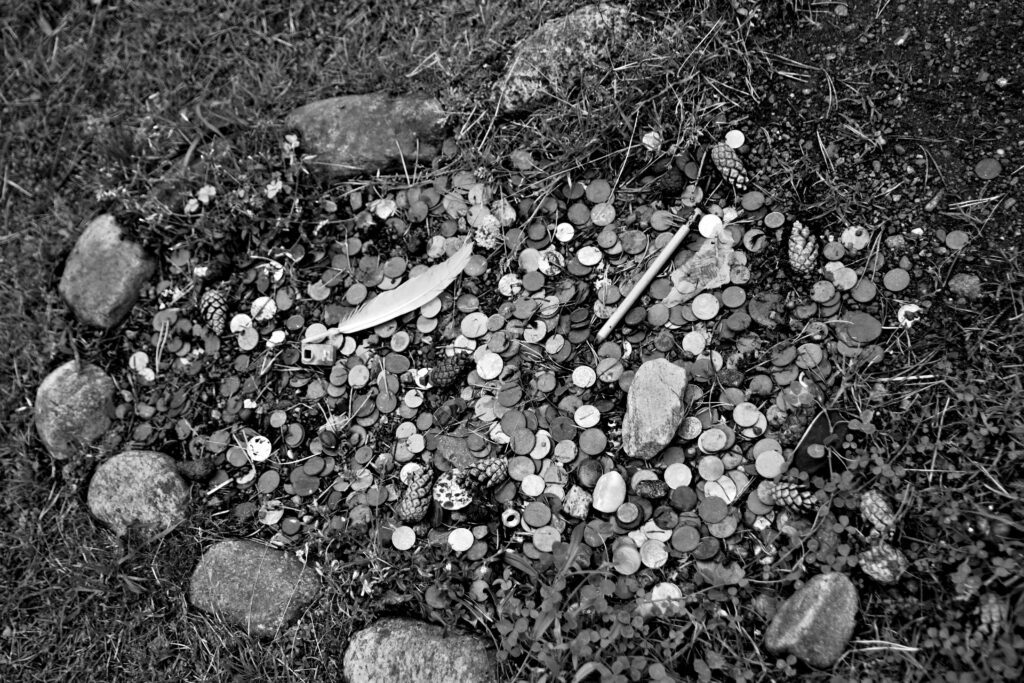 The island of Aegna in Estonia and it's peculiar ecosystem